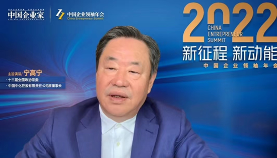 宁高宁:海外资金投资腾讯阿里时,中国企业大量的钱却都投到了房地产